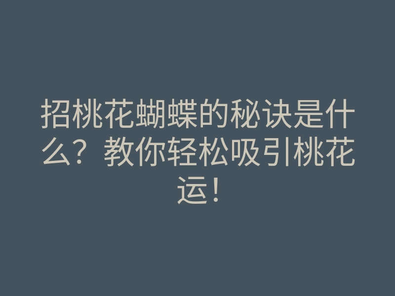 招桃花蝴蝶的秘诀是什么?教你轻松吸引桃花运!