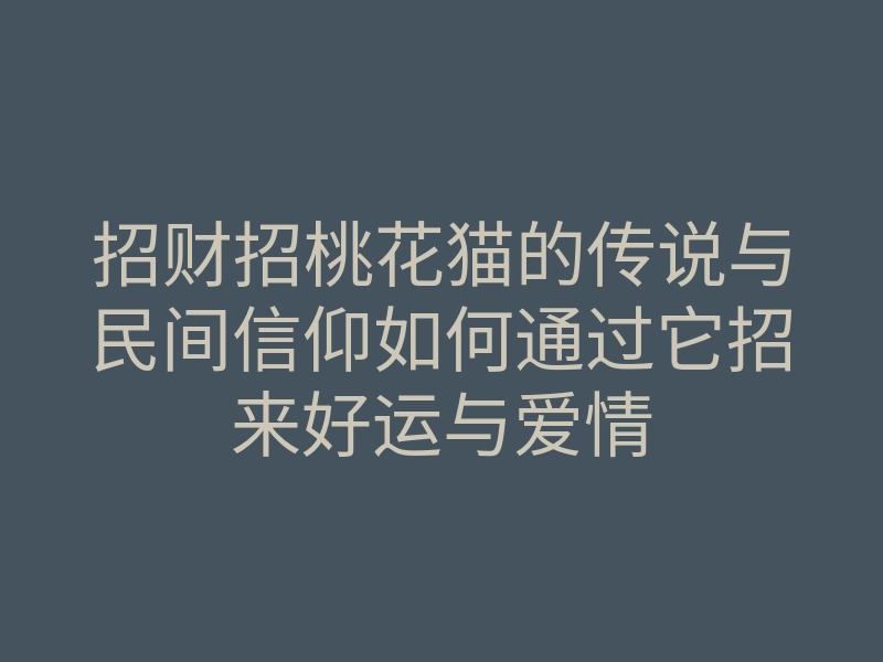 招财招桃花猫的传说与民间信仰如何通过它招来好运与爱情