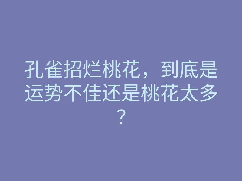 孔雀招烂桃花,到底是运势不佳还是桃花太多?