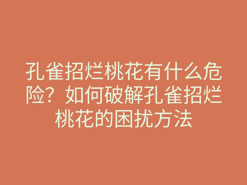 孔雀招烂桃花有什么危险?如何破解孔雀招烂桃花的困扰方法