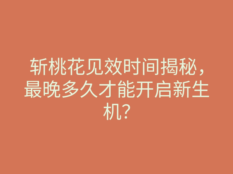 斩桃花见效时间揭秘,最晚多久才能开启新生机?