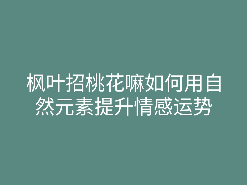 枫叶招桃花嘛如何用自然元素提升情感运势