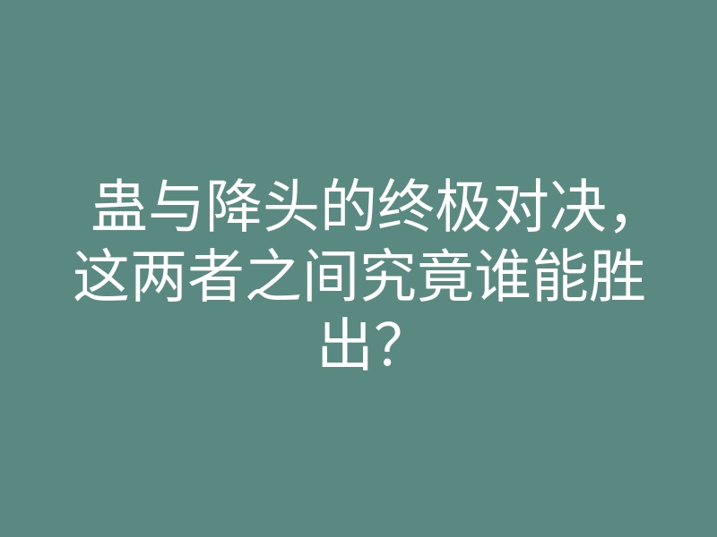 蛊与降头的终极对决,这两者之间究竟谁能胜出?