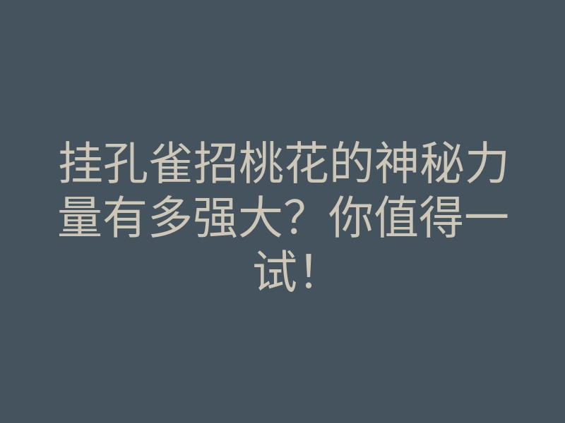 挂孔雀招桃花的神秘力量有多强大?你值得一试!