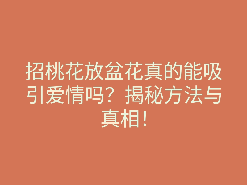 招桃花放盆花真的能吸引爱情吗?揭秘方法与真相!