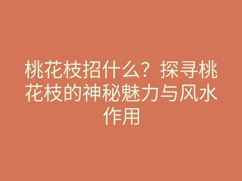 桃花枝招什么?探寻桃花枝的神秘魅力与风水作用