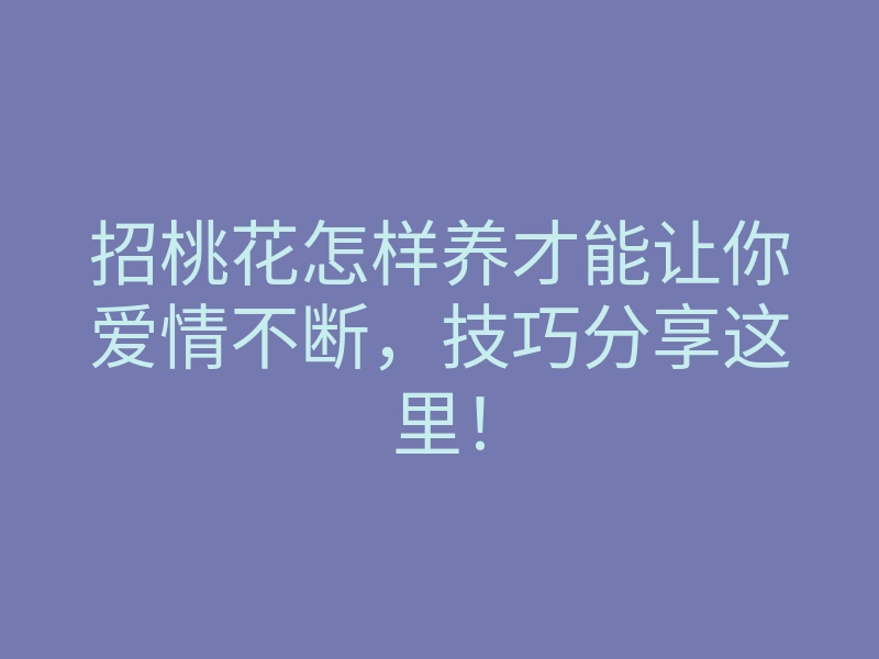 招桃花怎样养才能让你爱情不断,技巧分享这里!