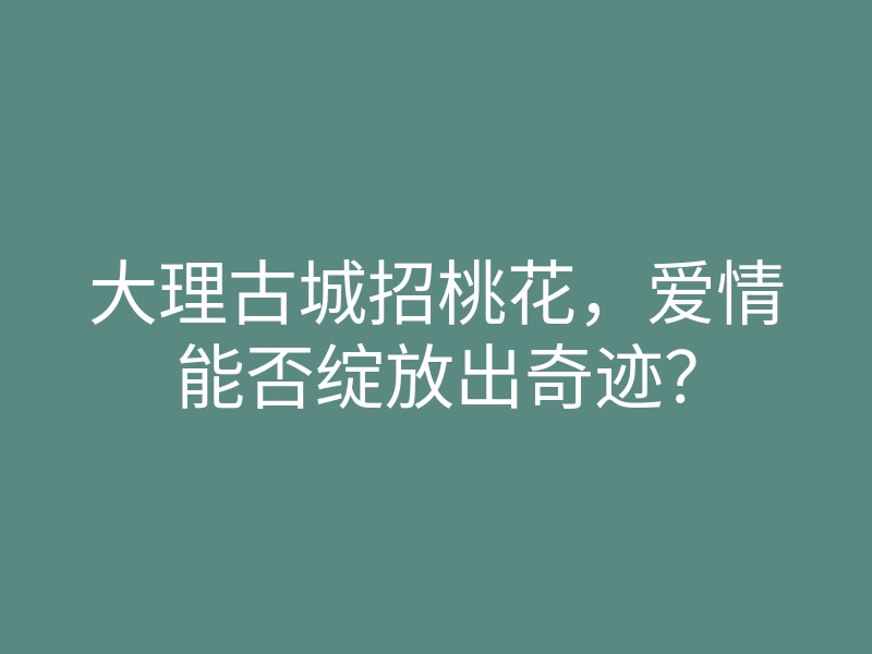 大理古城招桃花,爱情能否绽放出奇迹?