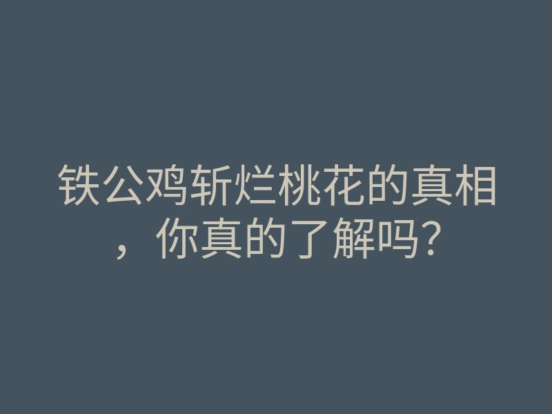 铁公鸡斩烂桃花的真相,你真的了解吗?