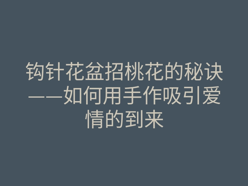 钩针花盆招桃花的秘诀——如何用手作吸引爱情的到来