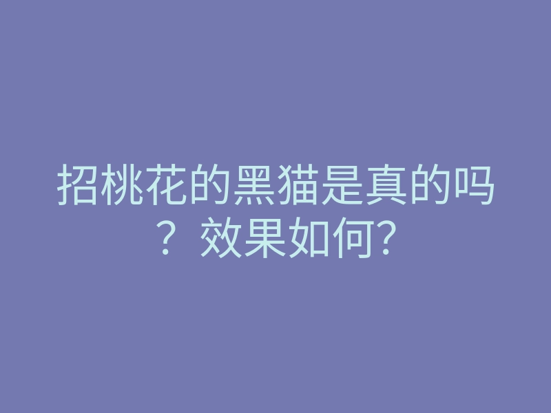 招桃花的黑猫是真的吗?效果如何?