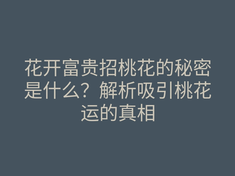 花开富贵招桃花的秘密是什么?解析吸引桃花运的真相