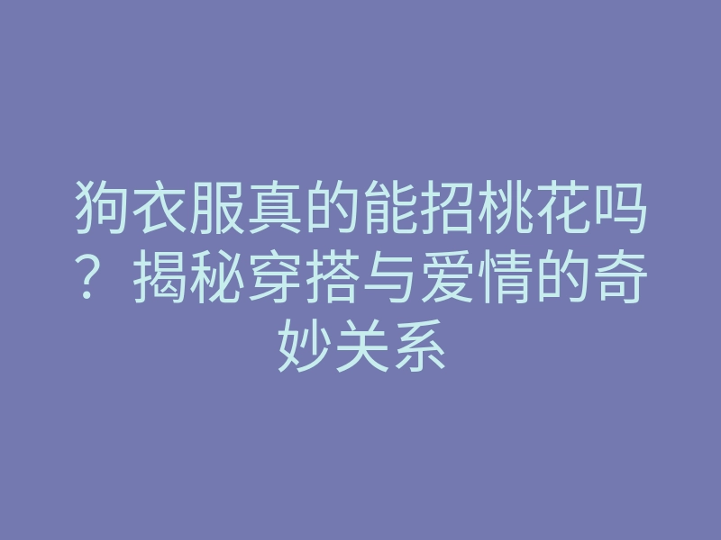 狗衣服真的能招桃花吗?揭秘穿搭与爱情的奇妙关系