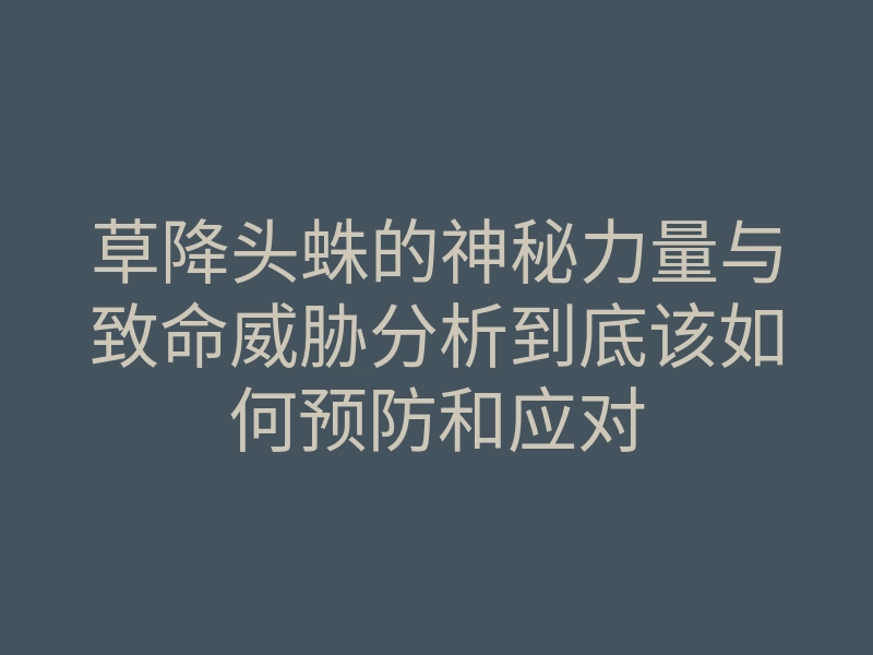 草降头蛛的神秘力量与致命威胁分析到底该如何预防和应对