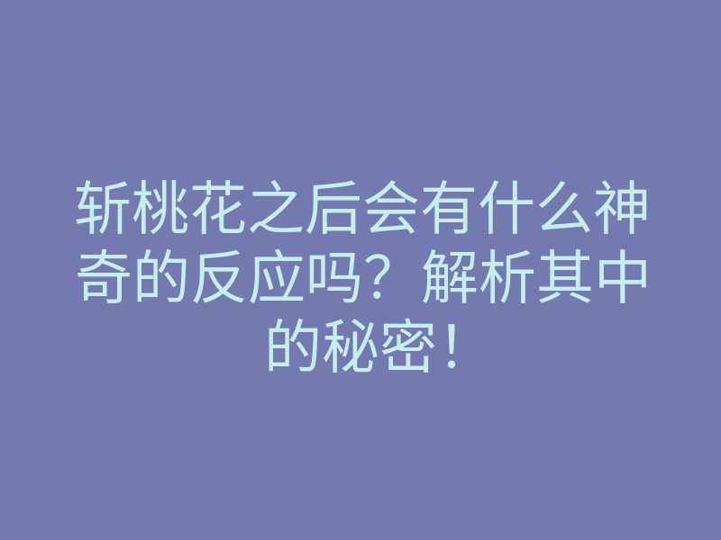 斩桃花之后会有什么神奇的反应吗?解析其中的秘密!