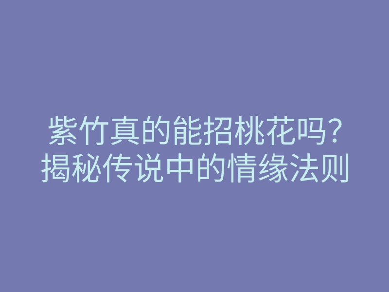 紫竹真的能招桃花吗？揭秘传说中的情缘法则
