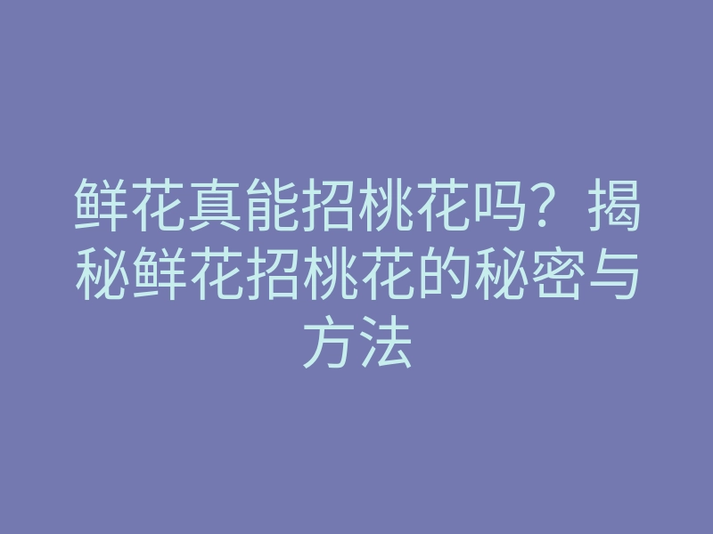 鲜花真能招桃花吗?揭秘鲜花招桃花的秘密与方法