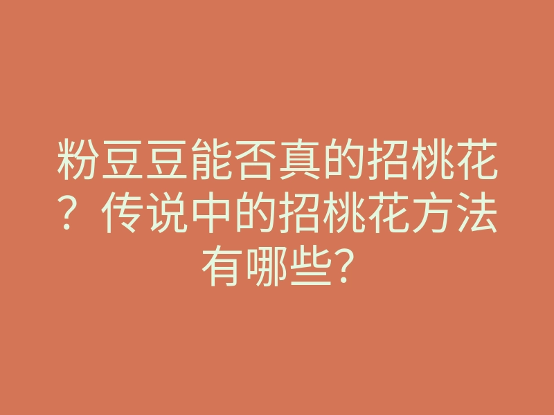 粉豆豆能否真的招桃花?传说中的招桃花方法有哪些?