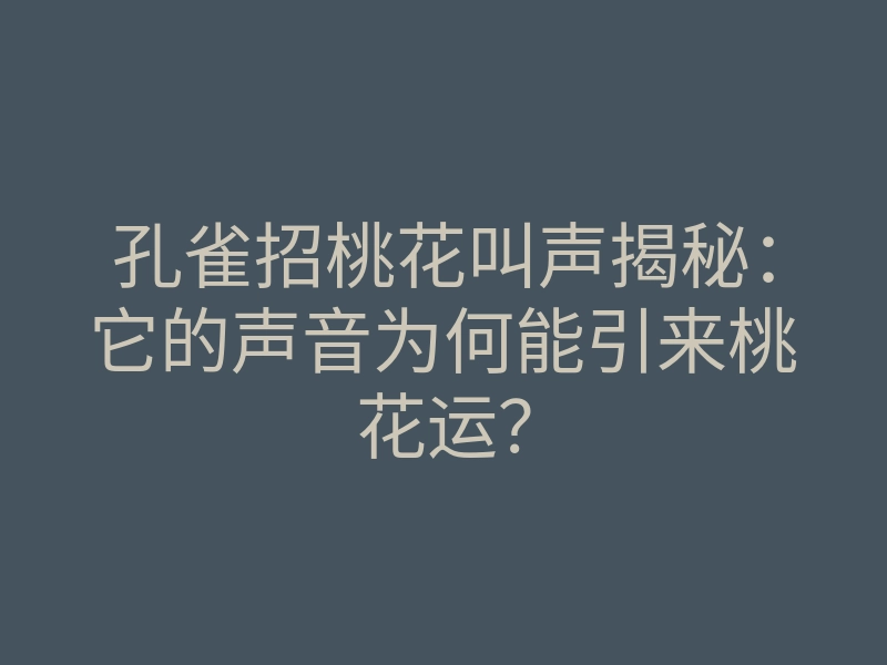 孔雀招桃花叫声揭秘:它的声音为何能引来桃花运?