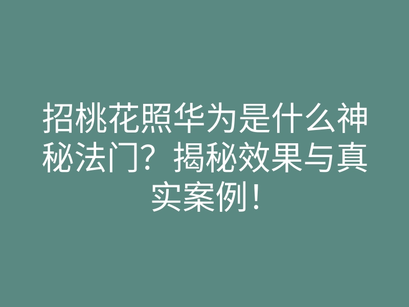 招桃花照华为是什么神秘法门?揭秘效果与真实案例!
