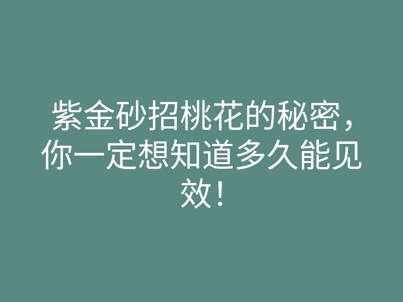 紫金砂招桃花的秘密，你一定想知道多久能见效！