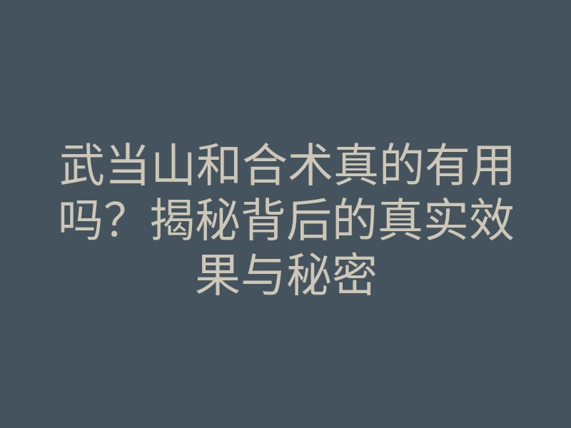 武当山和合术真的有用吗?揭秘背后的真实效果与秘密