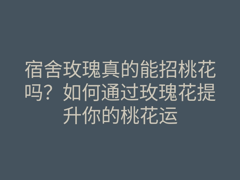 宿舍玫瑰真的能招桃花吗？如何通过玫瑰花提升你的桃花运