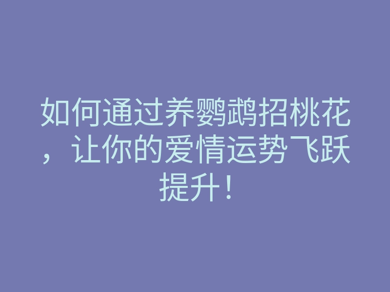 如何通过养鹦鹉招桃花,让你的爱情运势飞跃提升!