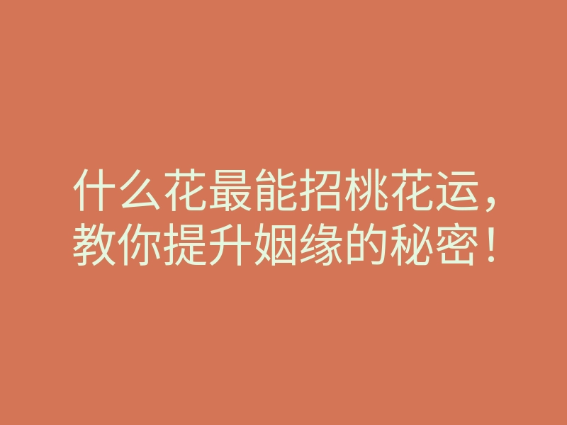 什么花最能招桃花运，教你提升姻缘的秘密！