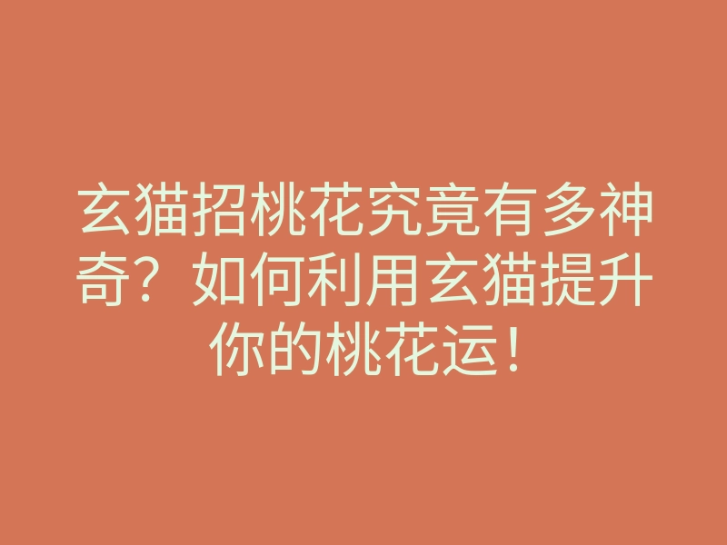 玄猫招桃花究竟有多神奇?如何利用玄猫提升你的桃花运!