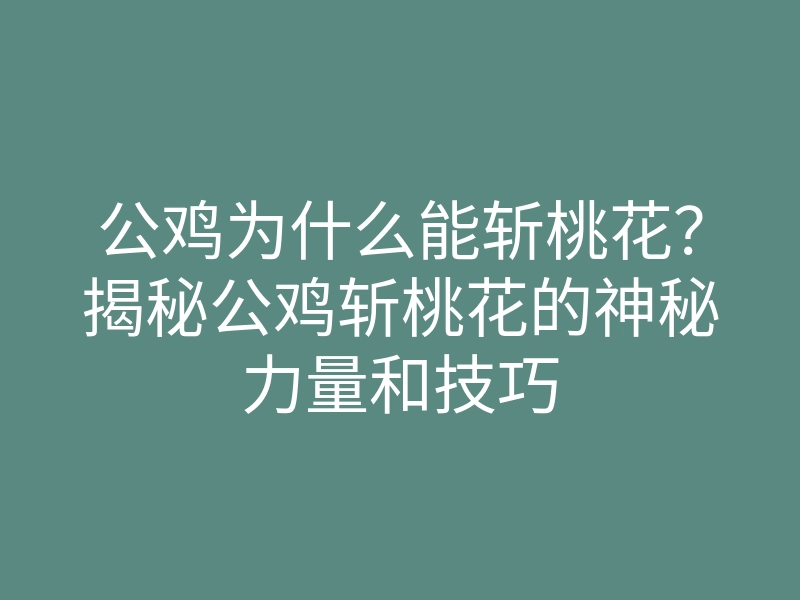 公鸡为什么能斩桃花?揭秘公鸡斩桃花的神秘力量和技巧