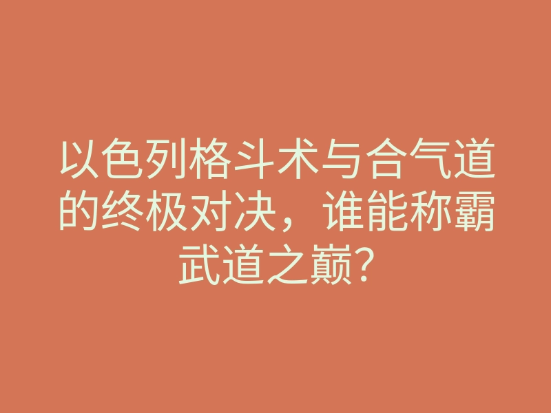 以色列格斗术与合气道的终极对决，谁能称霸武道之巅？