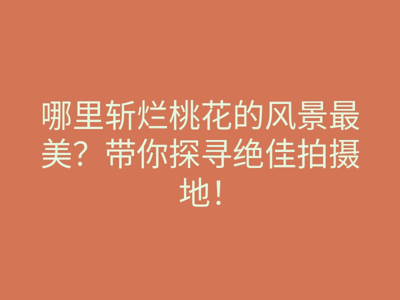 哪里斩烂桃花的风景最美?带你探寻绝佳拍摄地!