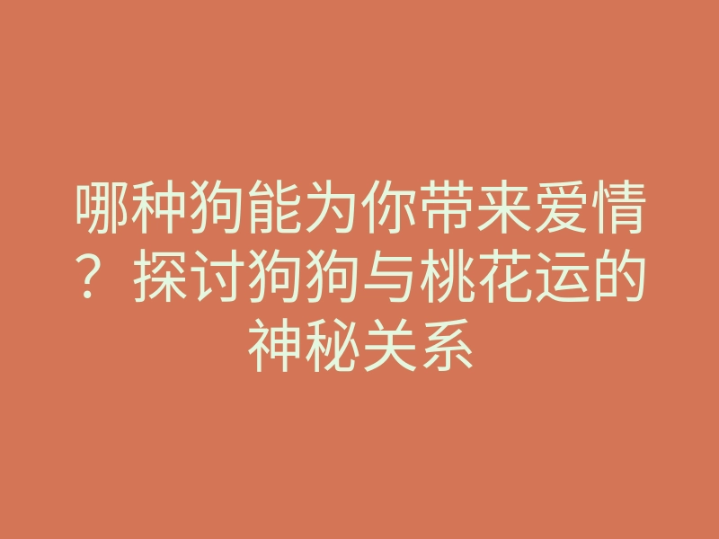 哪种狗能为你带来爱情?探讨狗狗与桃花运的神秘关系