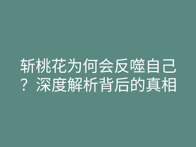 斩桃花为何会反噬自己？深度解析背后的真相