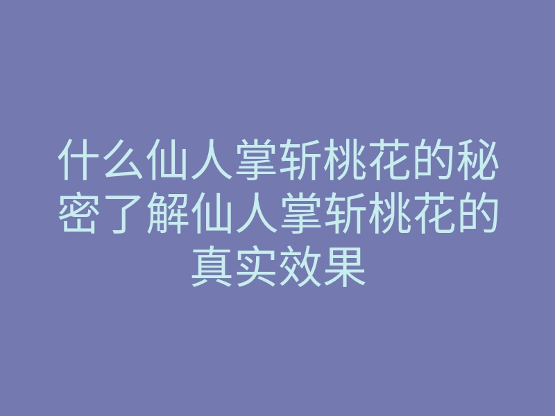 什么仙人掌斩桃花的秘密了解仙人掌斩桃花的真实效果