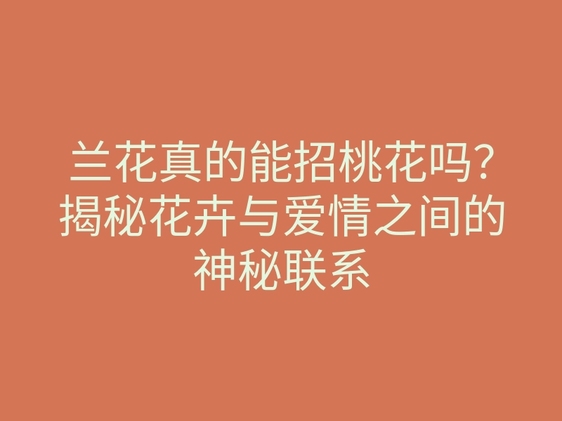 兰花真的能招桃花吗?揭秘花卉与爱情之间的神秘联系