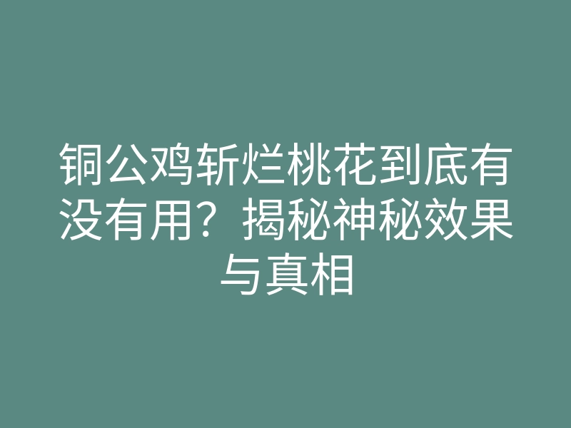 铜公鸡斩烂桃花到底有没有用?揭秘神秘效果与真相