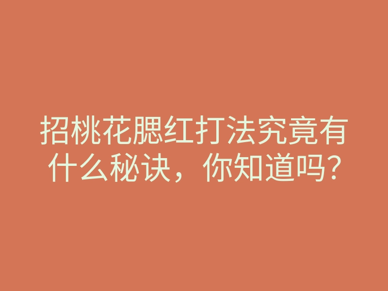 招桃花腮红打法究竟有什么秘诀,你知道吗?