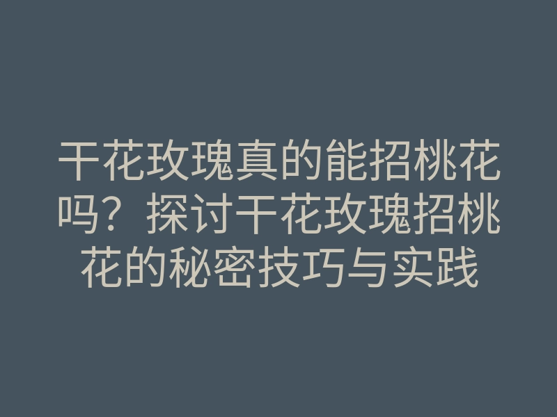 干花玫瑰真的能招桃花吗?探讨干花玫瑰招桃花的秘密技巧与实践