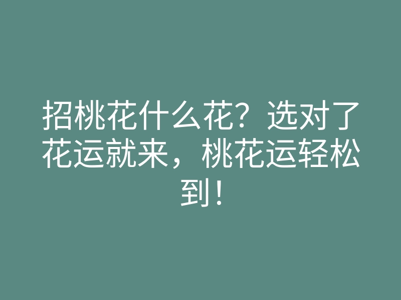 招桃花什么花?选对了花运就来,桃花运轻松到!
