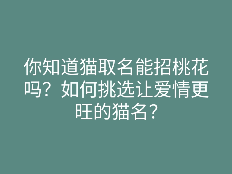 你知道猫取名能招桃花吗?如何挑选让爱情更旺的猫名?