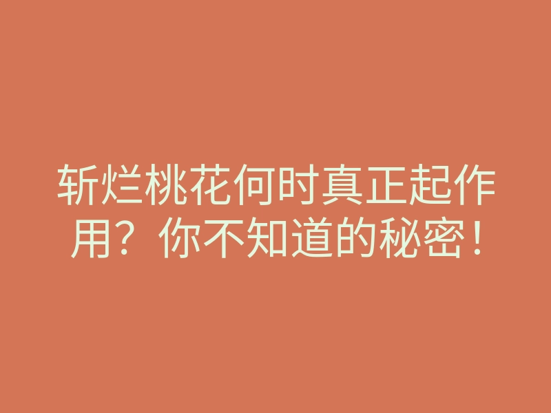 斩烂桃花何时真正起作用?你不知道的秘密!