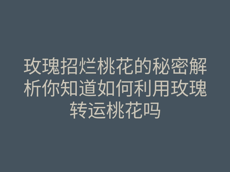 玫瑰招烂桃花的秘密解析你知道如何利用玫瑰转运桃花吗
