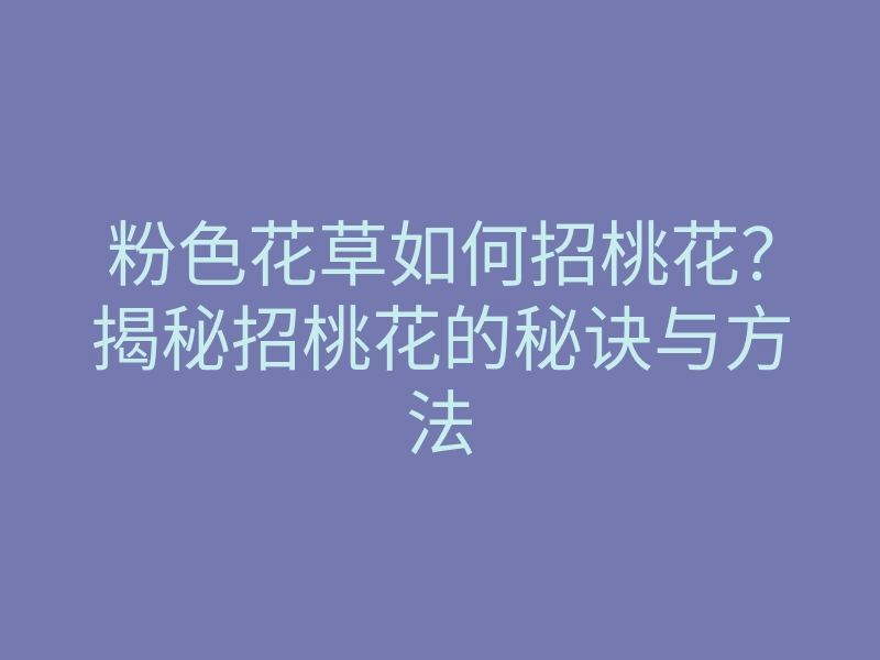 粉色花草如何招桃花?揭秘招桃花的秘诀与方法