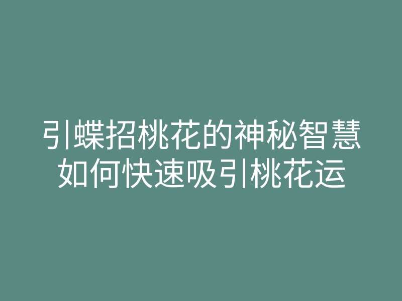 引蝶招桃花的神秘智慧如何快速吸引桃花运