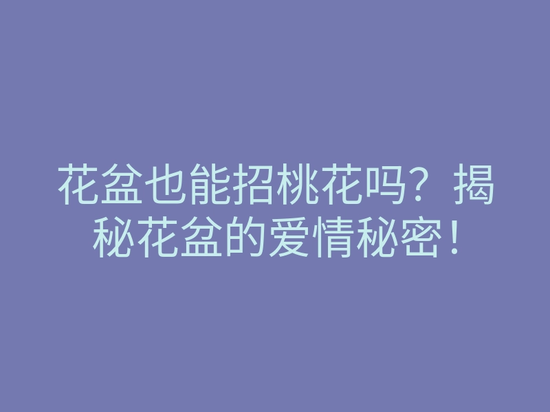 花盆也能招桃花吗?揭秘花盆的爱情秘密!