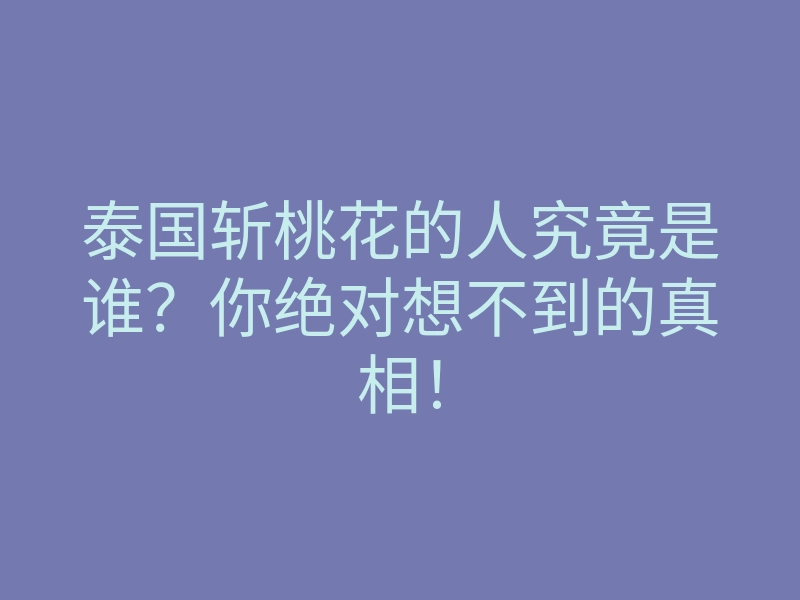 泰国斩桃花的人究竟是谁?你绝对想不到的真相!