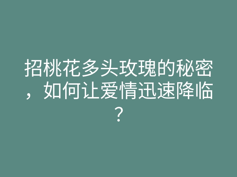 招桃花多头玫瑰的秘密，如何让爱情迅速降临？