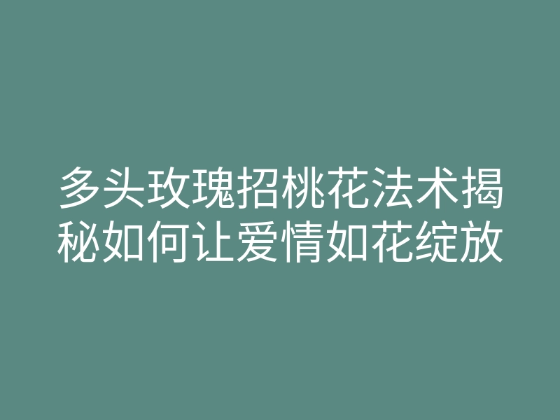 多头玫瑰招桃花法术揭秘如何让爱情如花绽放